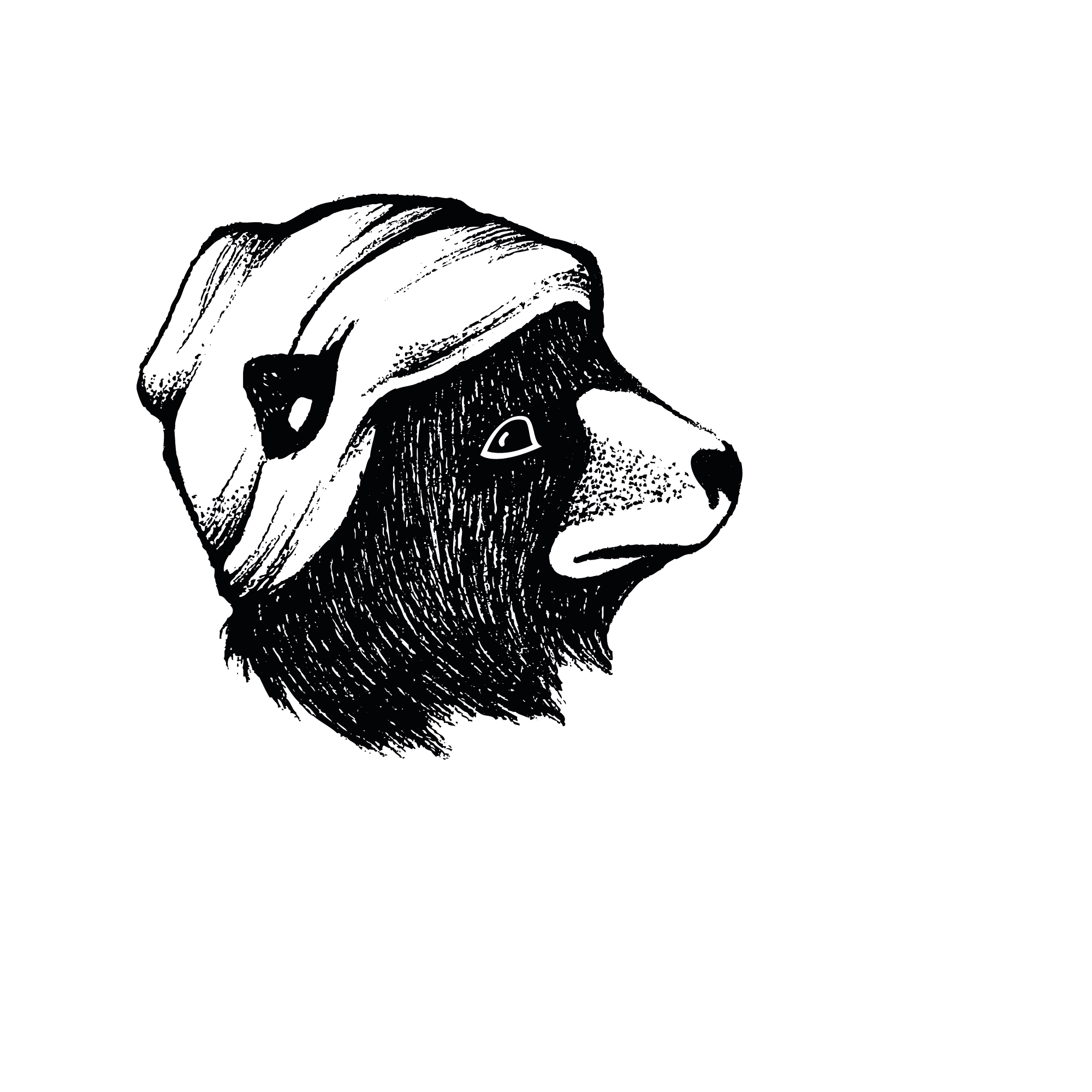 Bearhead Media Logo